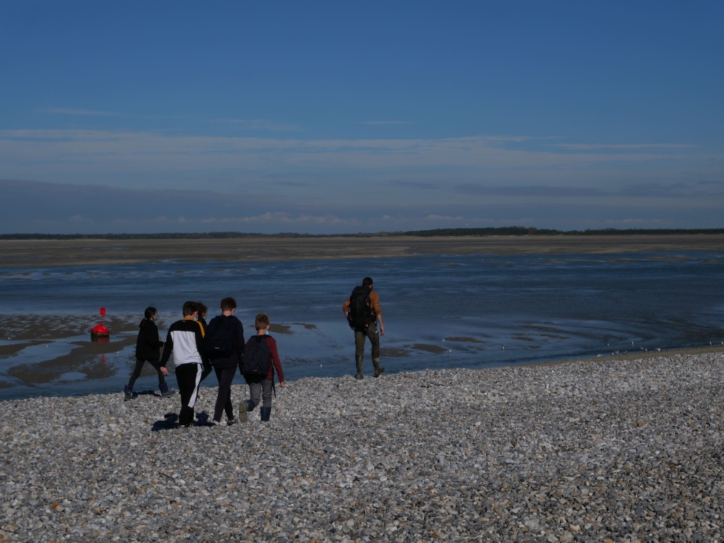 Sortie scolaire collège baie de somme 